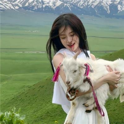 狂赌之渊第二季