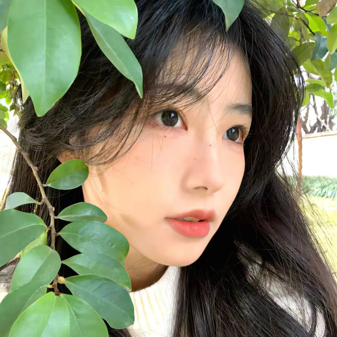 马路对面的房子